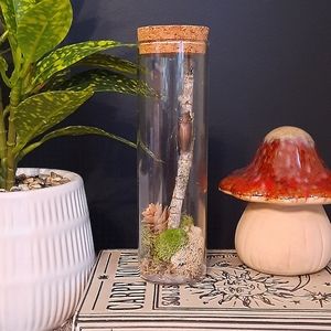 Real Beetle in Glass Vile Oddity Art